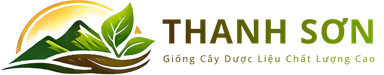 CÂY GIỐNG DƯỢC LIỆU CHẤT LƯỢNG CAO